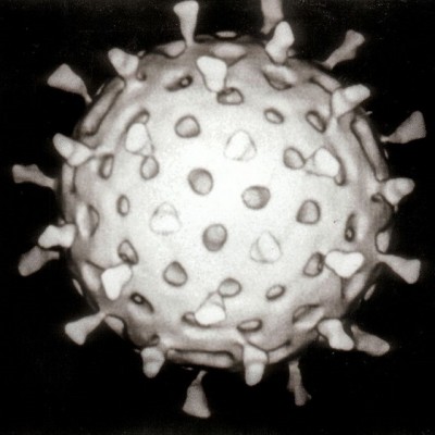 روتا ویروس (Rotavirus)