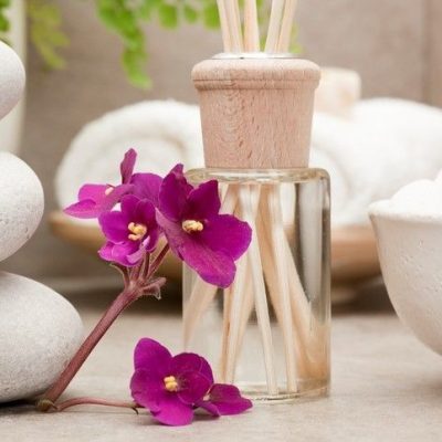 اسانس گیاهان طبیعی